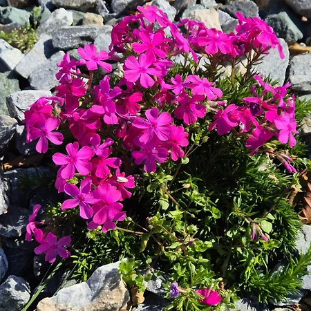 Fernblick Gruber * Grafendorf bei Hartberg