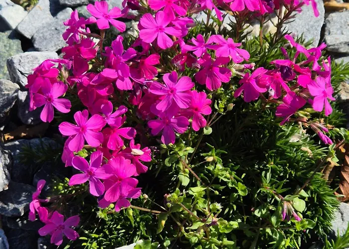 Fernblick Gruber * Grafendorf bei Hartberg